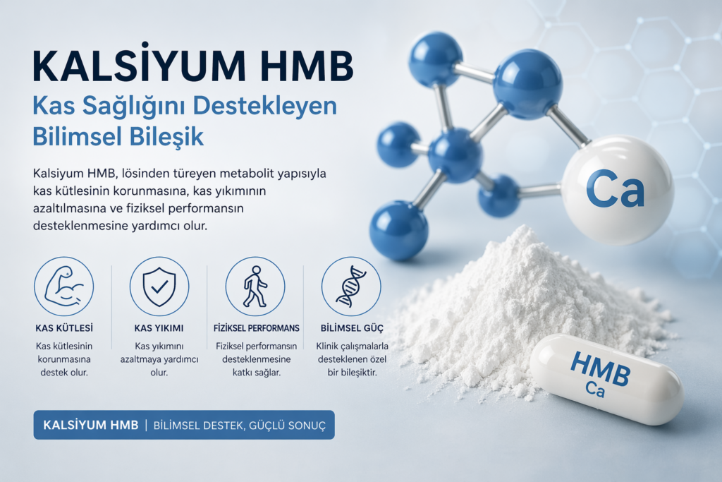 Kalsiyum HMB Nedir? Kas Kaybı Ve Hareketsizlikte Etkisi