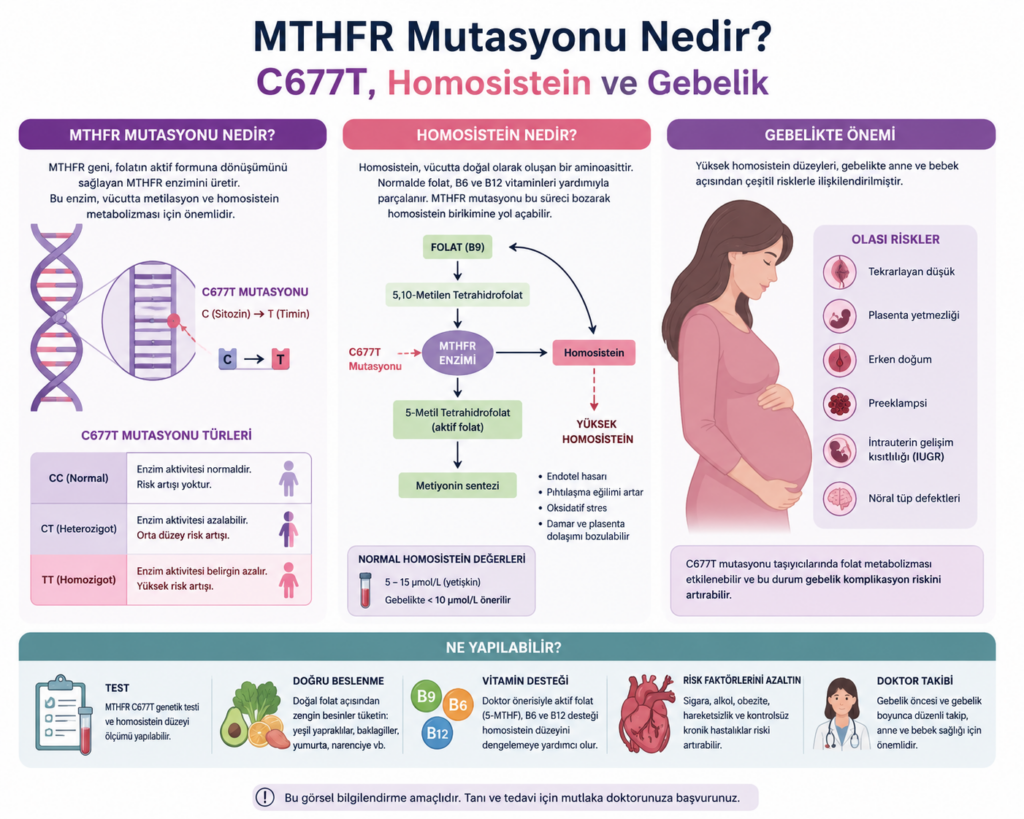 mthfr mutasyonu nedir